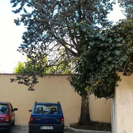 Il Gufo Pensatore Florence