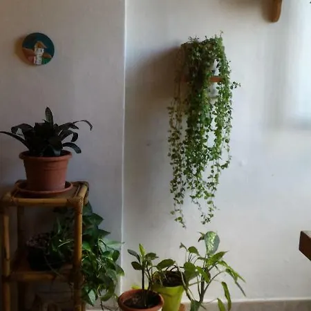 Apartment Il Gufo Pensatore